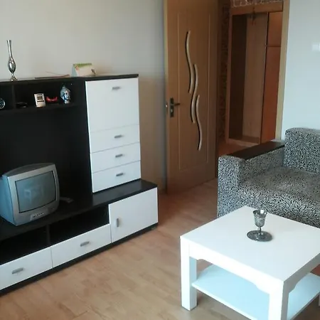 Stylish Flat Apartamento Kaunas